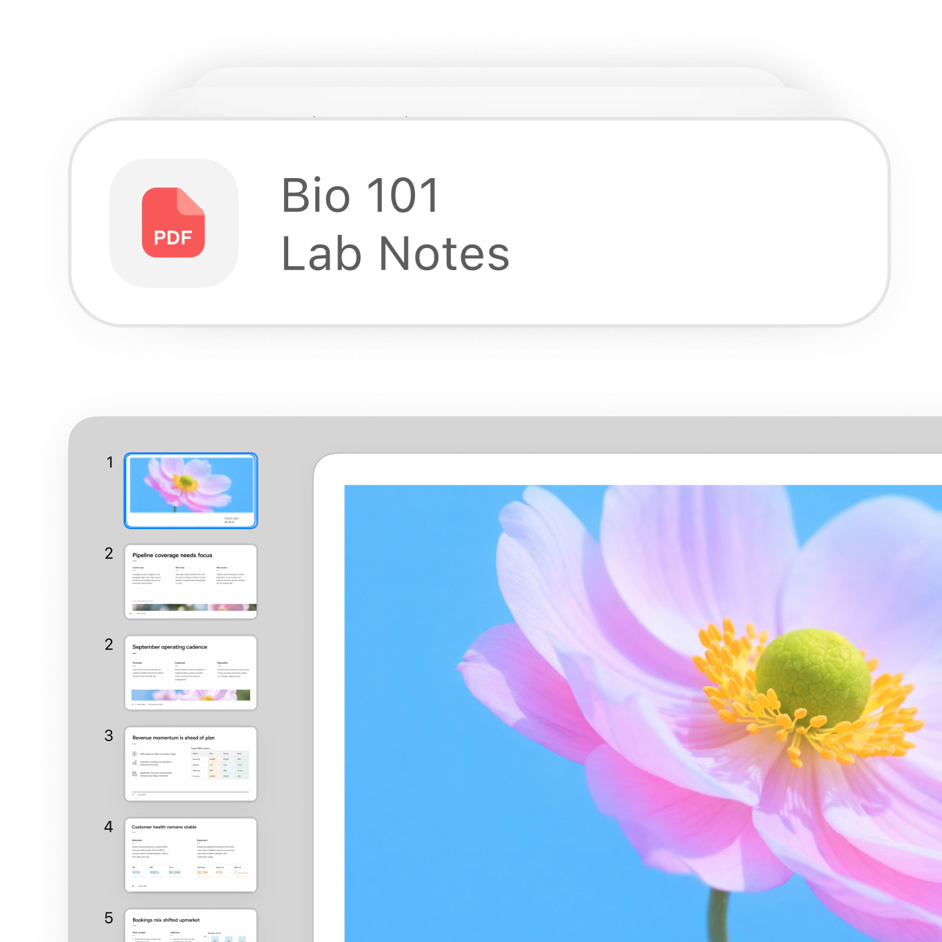A cognitive science presentation and study notes