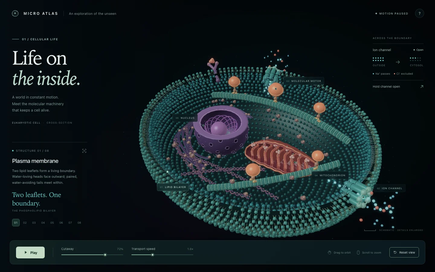 Living Cell initial output